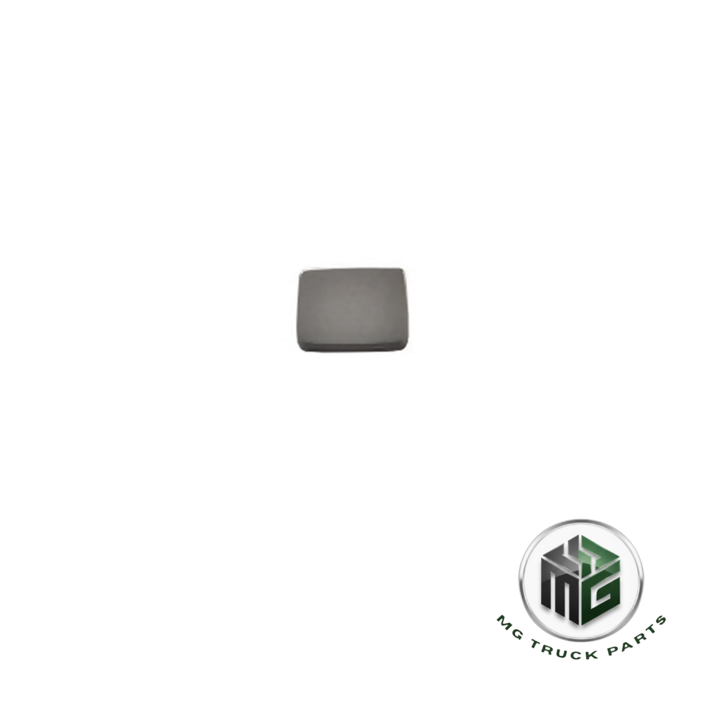 [A.81978780125.Y] MAN KAPI YAZISI TGA-TGS-TGX-TGL-TGM ( . ) (OEM: 81978780125)